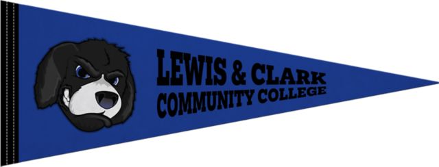 9''X24'' Full Color Pennant